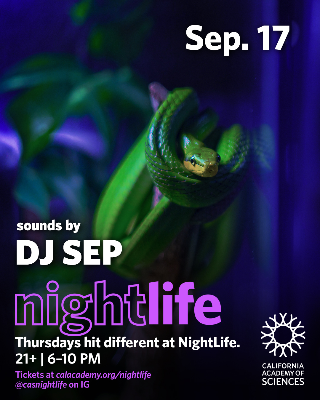 Thursday, Sept 17: NightLife at the California Academy of Sciences (55 Music Concourse Dr, San Francisco, CA 94118), an adult after-work event, featuring a 4-hour set by DJ Sep / 6-10 pm / 21+